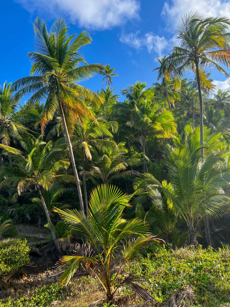 Praia do Havaizinho